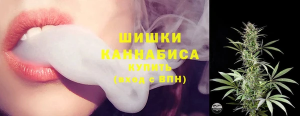 гашик Пересвет