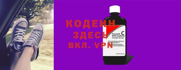 гашик Пересвет