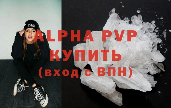 гашик Пересвет